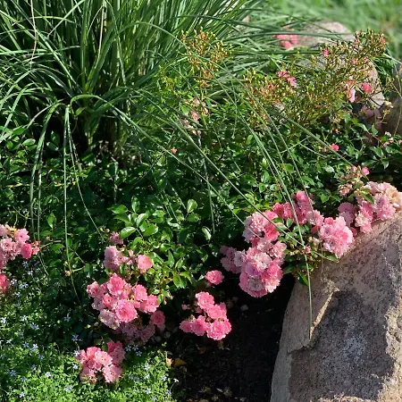 Unter Reet Appartement