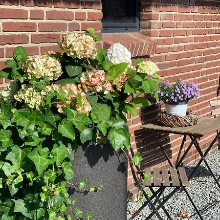 Unter Reet Tumlauer Koog