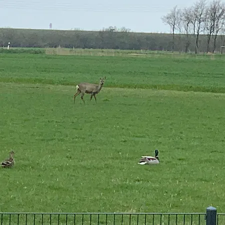 Unter Reet Apartment *